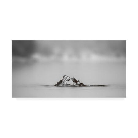 Trademark Fine Art Phillip Chang 'Water Conversation' Canvas Art, 16x32 1X09948-C1632GG